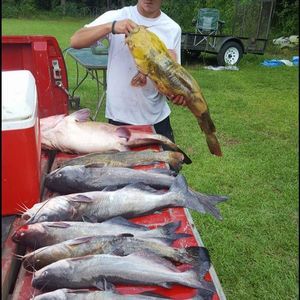 Meet your Posher, Austin